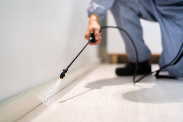 Best Pest Prevention Services  in Petersburg, AK