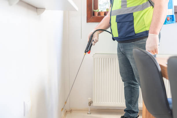 Best Bed Bug Extermination  in Petersburg, AK
