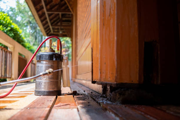 Best Cockroach Control Services  in Petersburg, AK